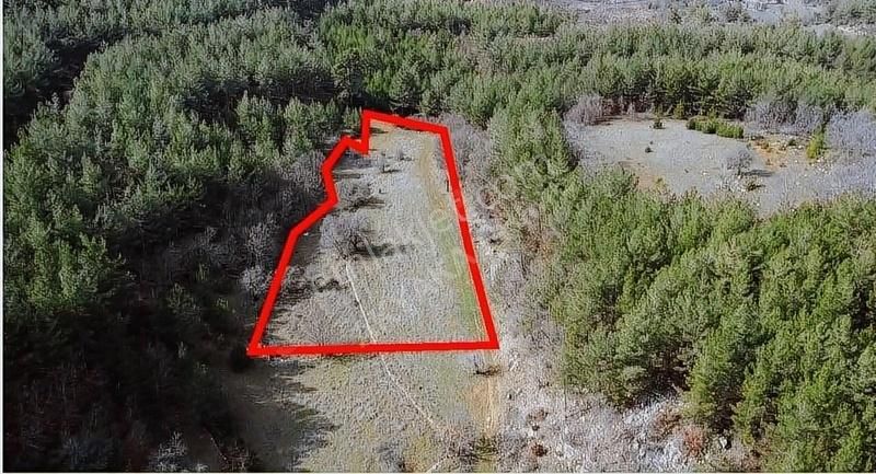 Menteşe Kuyucak Satılık Tarla Doğa Ve Huzur İçinde Yaşam Arayanlar İçin 17.223 M2 Tarla