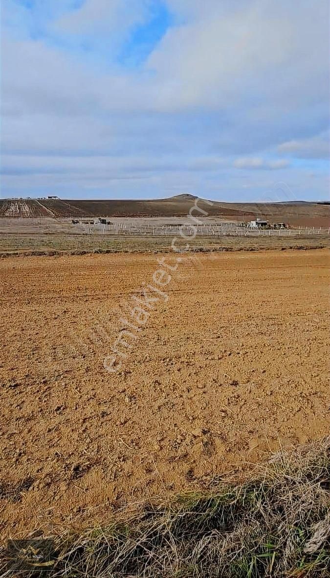 Marmaraereğlisi Yeniçiftlik Satılık Konut İmarlı Yeniçiftlik 340 M Satılık Arsa