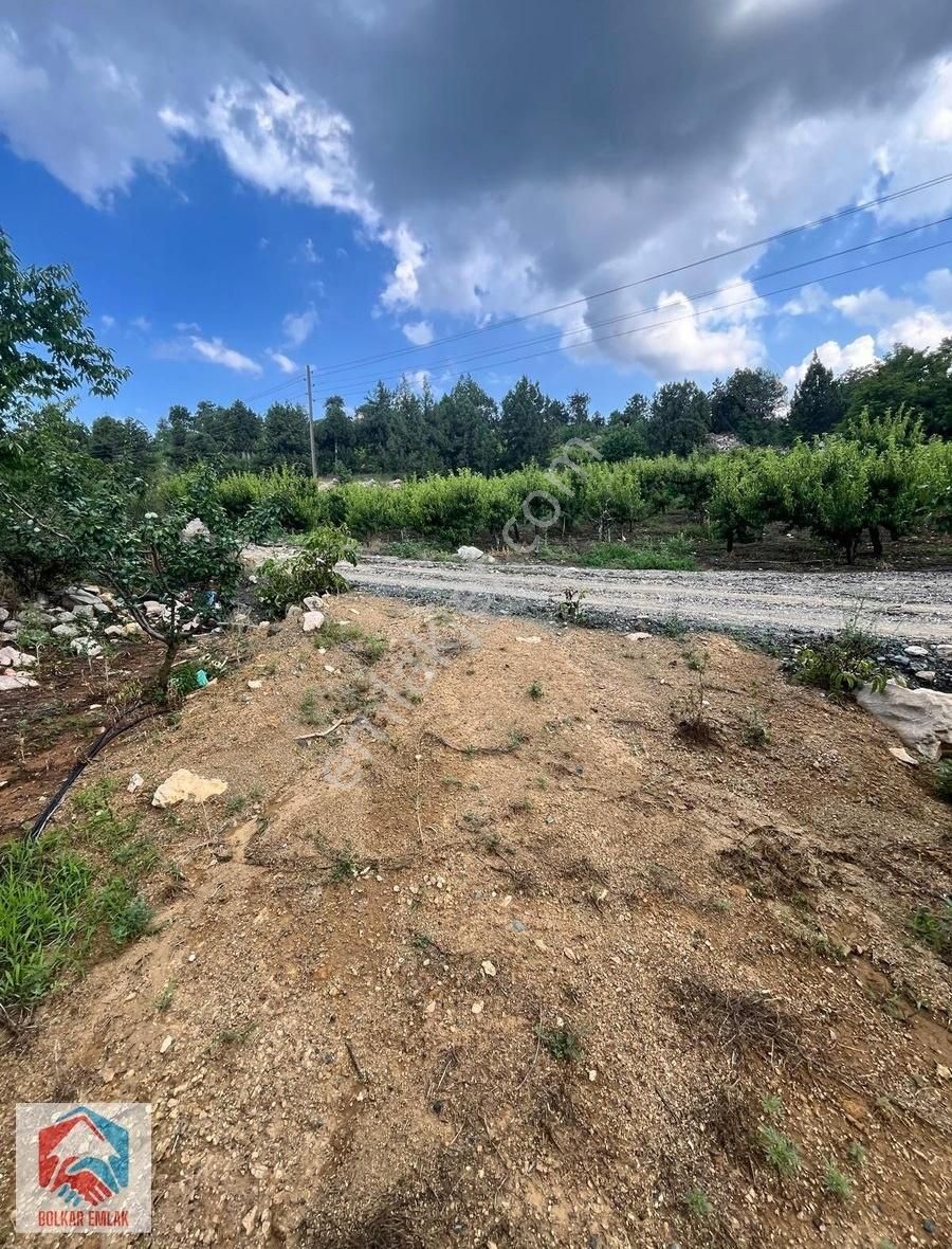 Arslanköy'de 2300 M² Karışık Meyve Bahçesi - Görsel 15