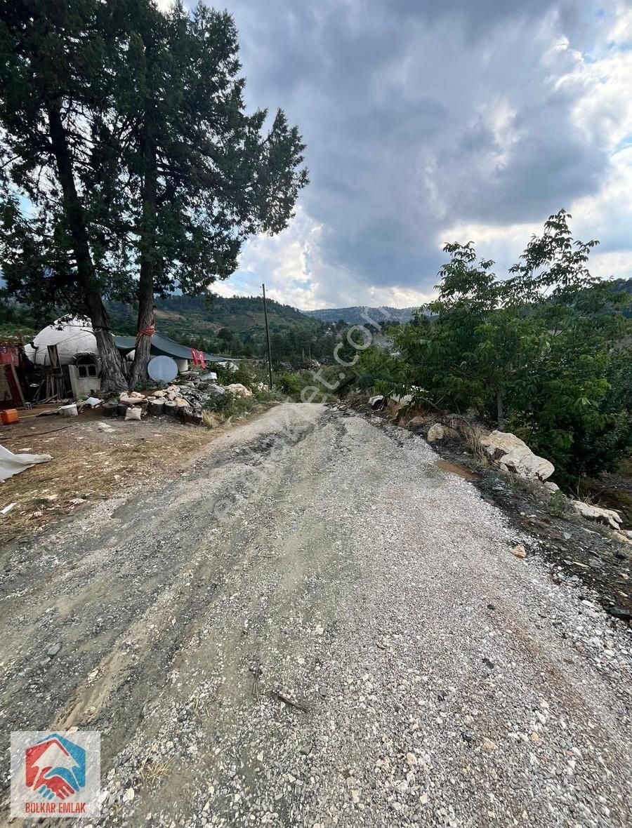 Arslanköy'de 2300 M² Karışık Meyve Bahçesi - Görsel 13