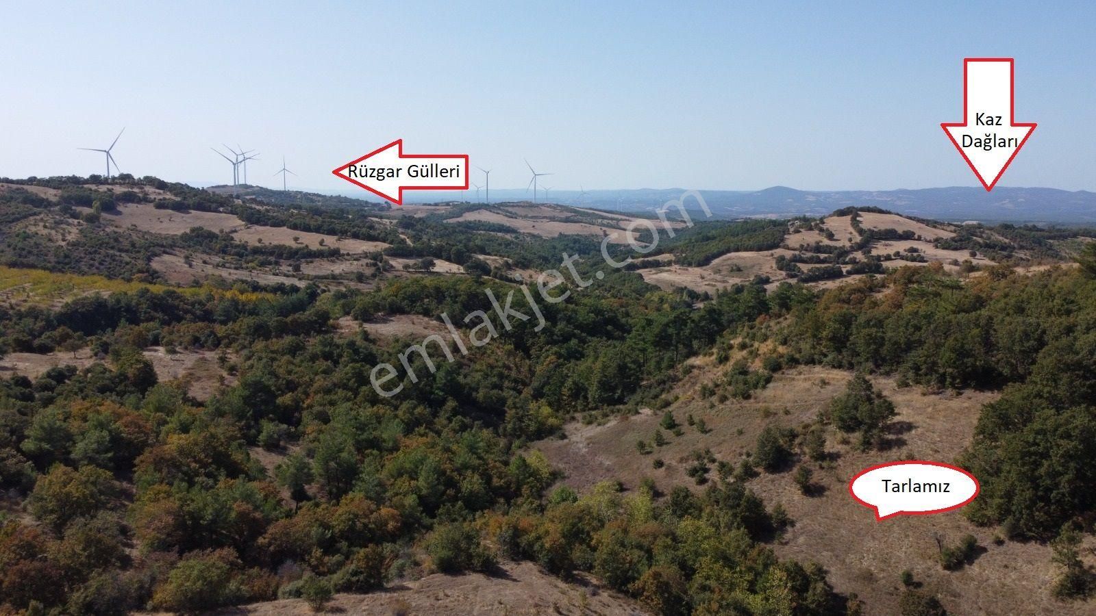 Kazdağlarında Yatırımlık 7.200m² Orman Cepheli Tarla!