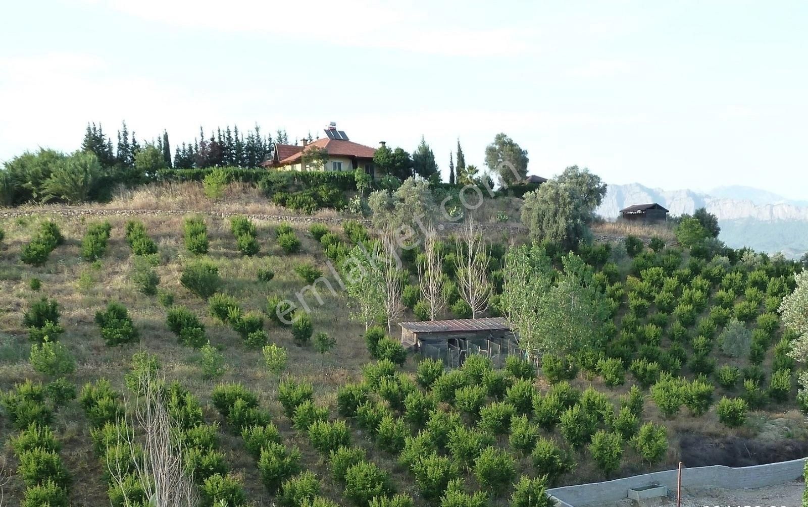 Aksu Karaöz Satılık Villa Antalya /karaöz'de, Taş Malikhane-yedi Dönüm Zeytin Bahçesi İçerisinde