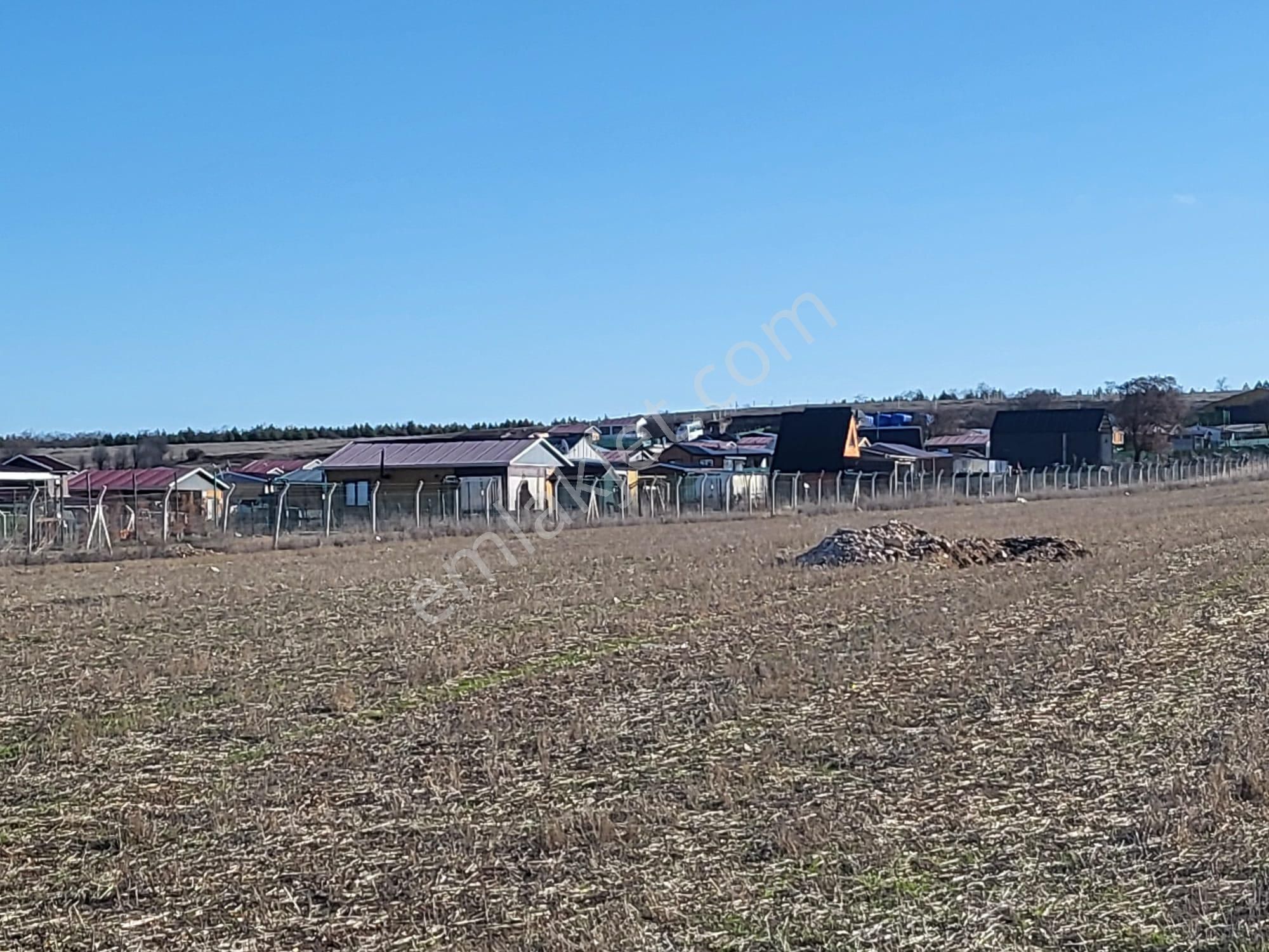 Odunpazarı Sarısungur Satılık Tarla Odunpazarı Sarısungur Mh Mükemmel Lokasyon 250 M2 Net Bahçe İçinde Sıfır Ahşap Ev