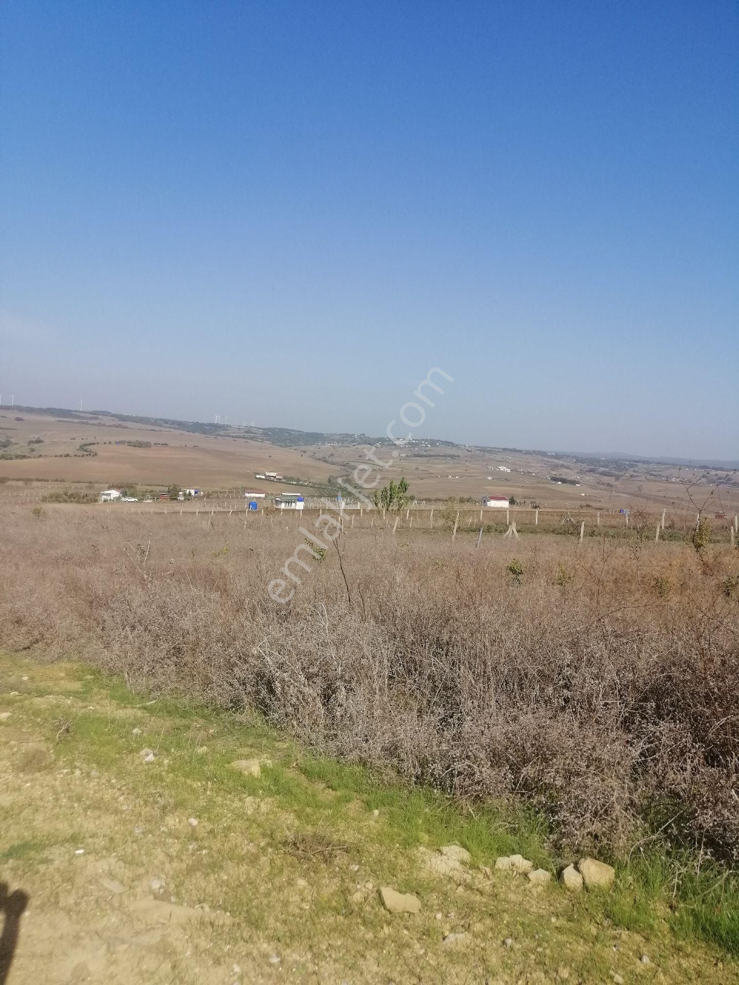 Silivri Akören Satılık Tarla Silivri Akörende Kaçırılmayacak Arsa