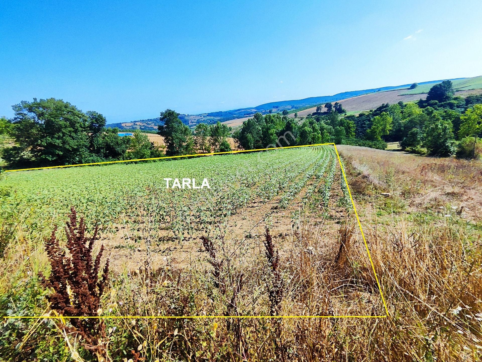 İzmit Bağlıca Satılık Tarla İzmit Bağlıca’da Köy İçi İmara 40 Mt Mesafesiyle Harika İmar Ve Konum Fırsatlı Satılık Tarla