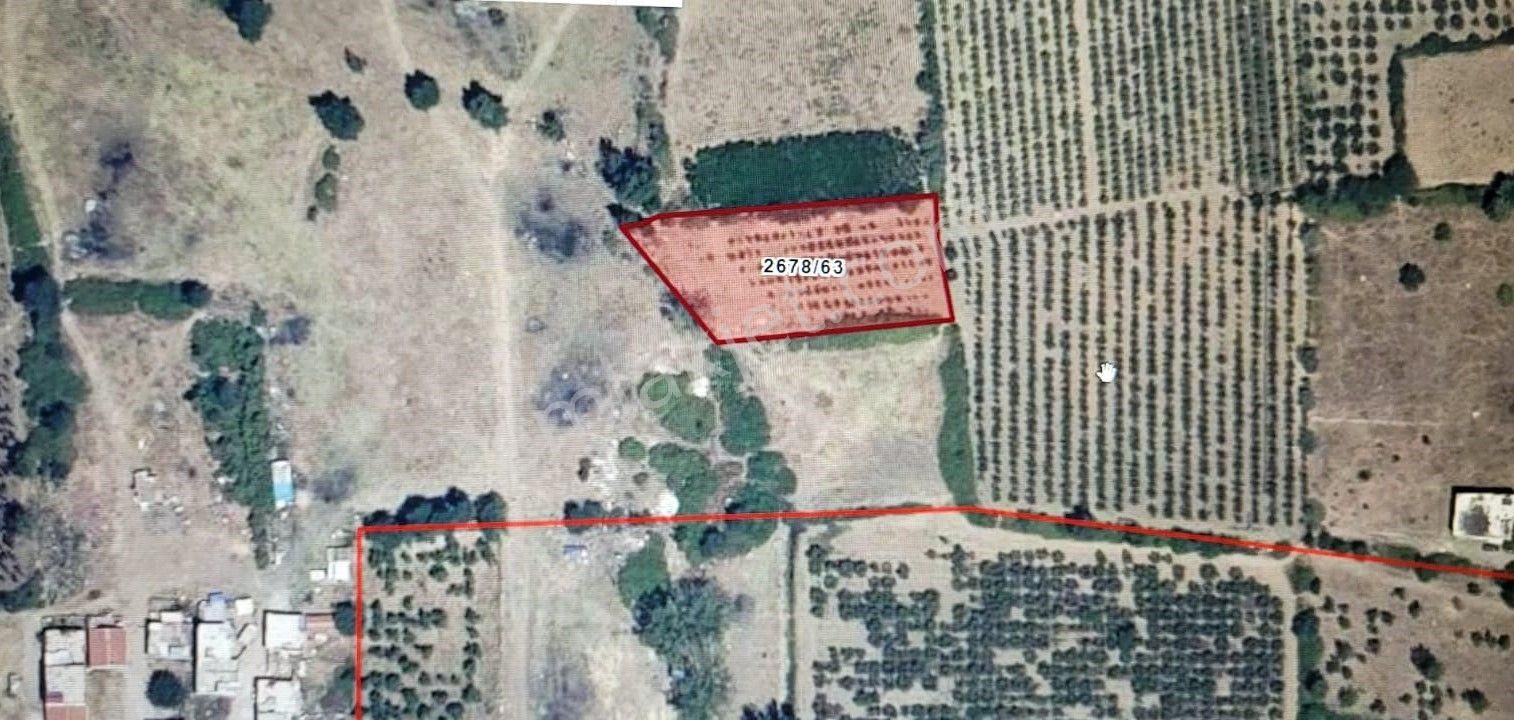 Bursa Kılıç Tan Vakıf Merkezde Satılık 912m2 Şeftali Bahçesi - Görsel 4