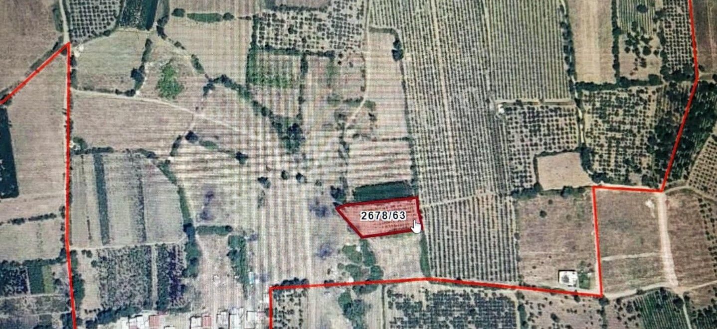 Bursa Kılıç Tan Vakıf Merkezde Satılık 912m2 Şeftali Bahçesi - Görsel 2