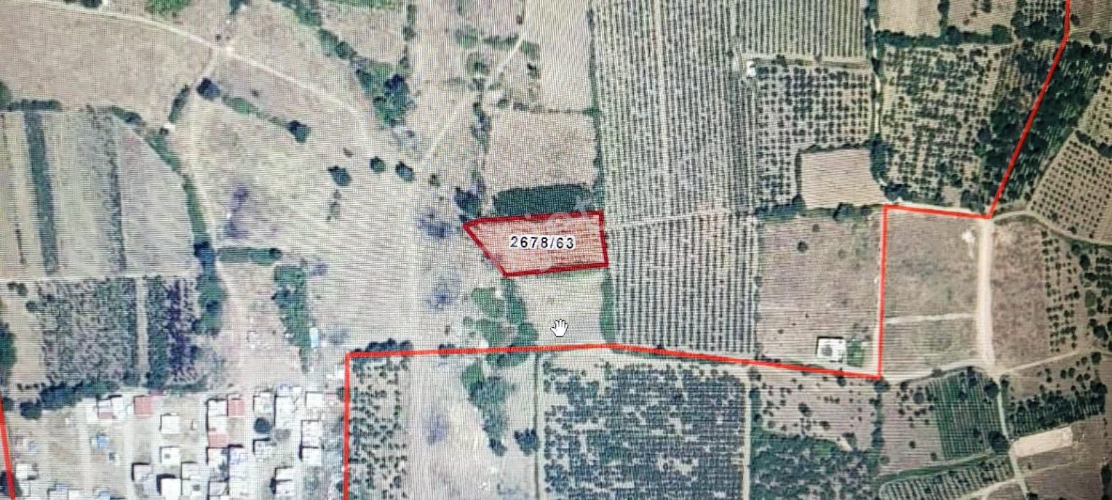 Bursa Kılıç Tan Vakıf Merkezde Satılık 912m2 Şeftali Bahçesi - Görsel 7