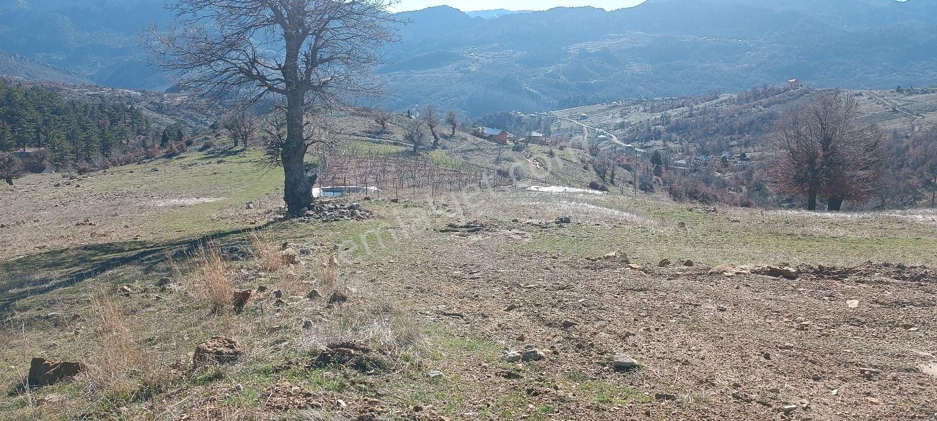 Alanya Özvadi Yaylasında Satılık Manzaralı Tarla - Görsel 6