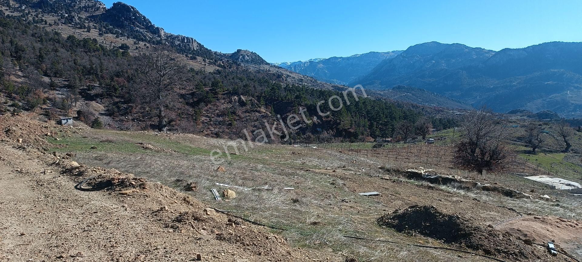 Alanya Özvadi Yaylasında Satılık Manzaralı Tarla - Görsel 9