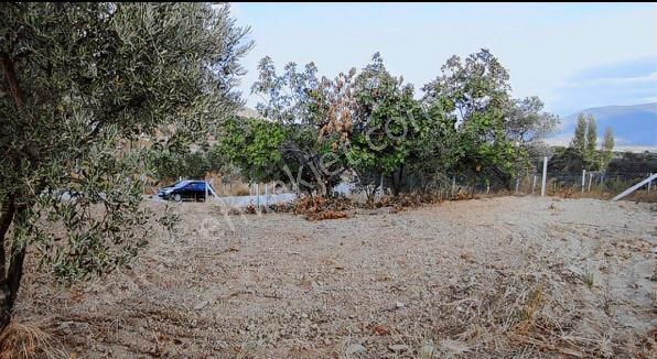 Torbalı Çakırbeyli Satılık Tarla Çakırbeyli'de 410 Metre 1.milyon Tl/ Yılbaşına Kadar Kupon Tarla...