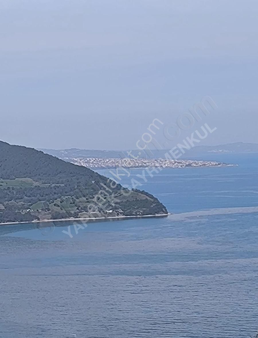 Gerze Hacıselli Köyü (Denizçukuru) Satılık Bağ & Bahçe Muhteşem Deniz Ve Doğa Manzarası