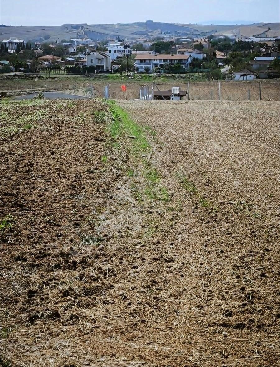 Marmaraereğlisi Türkmenli Satılık Tarla Badem Bahçesi