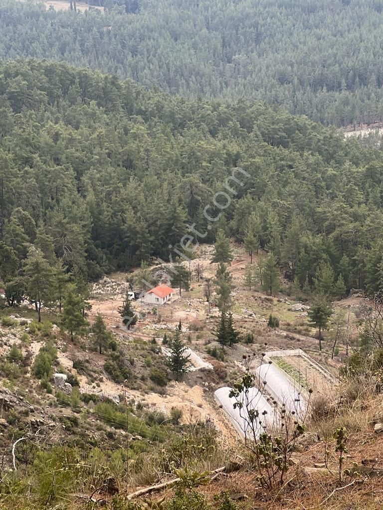 Kemer Ovacık Satılık Tarla Evi Hazır Huzurun Adresi