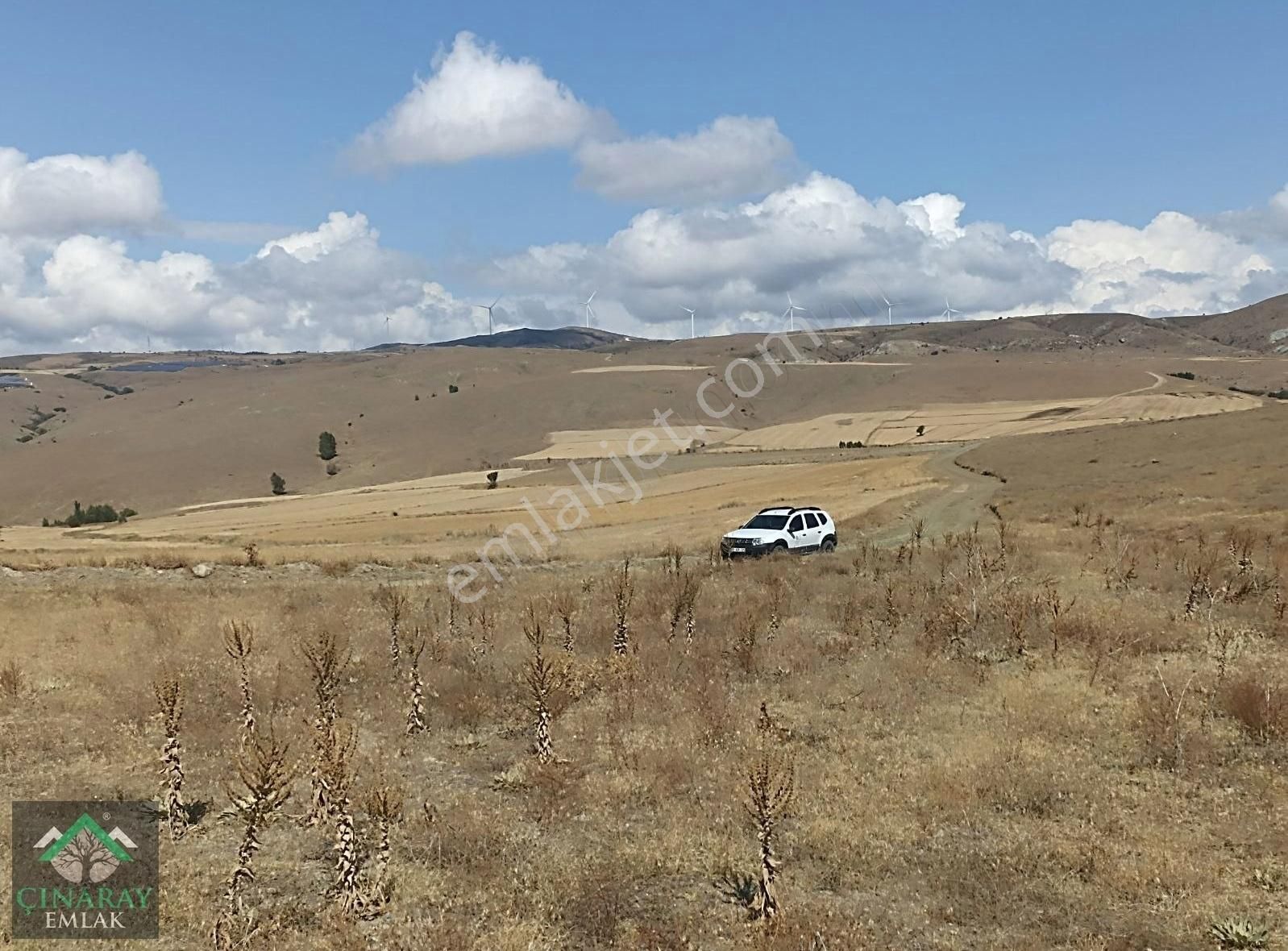 Tepebaşı Eğriöz Satılık Tarla Egriöz De 13000 M2 Yol Kenarı Bahçe