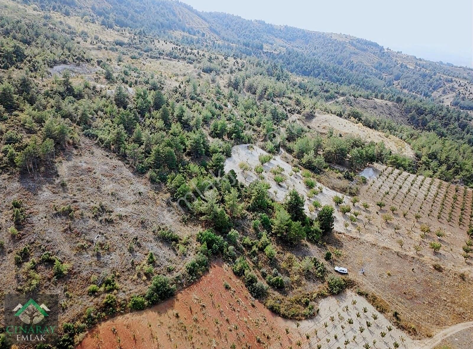 Söğüt Küre Köyü (Merkez) Satılık Bağ & Bahçe 6426 M2 Mükemmel Bir Yer