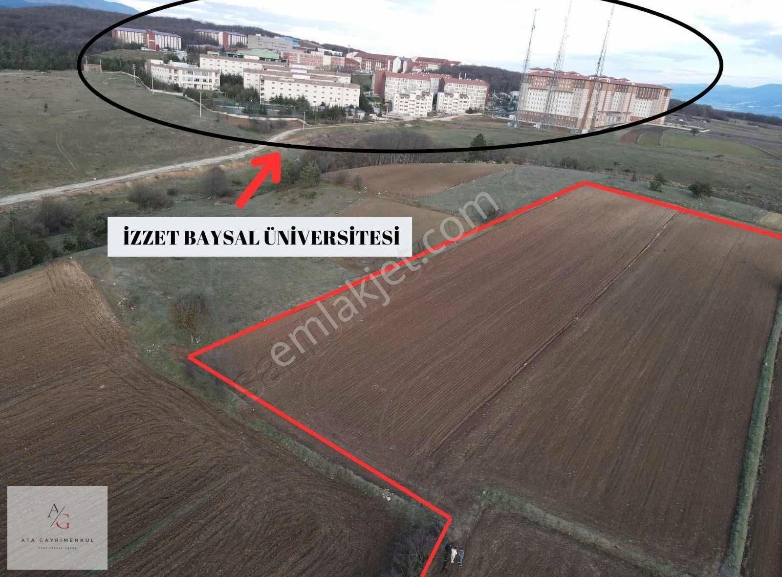 Bolu Merkez Gölköy Köyü (Merkez) Satılık Bağ & Bahçe Ata Gayrimenkul | Bolu Üniversiteye 1 Km 932m2 Satılık Tarla