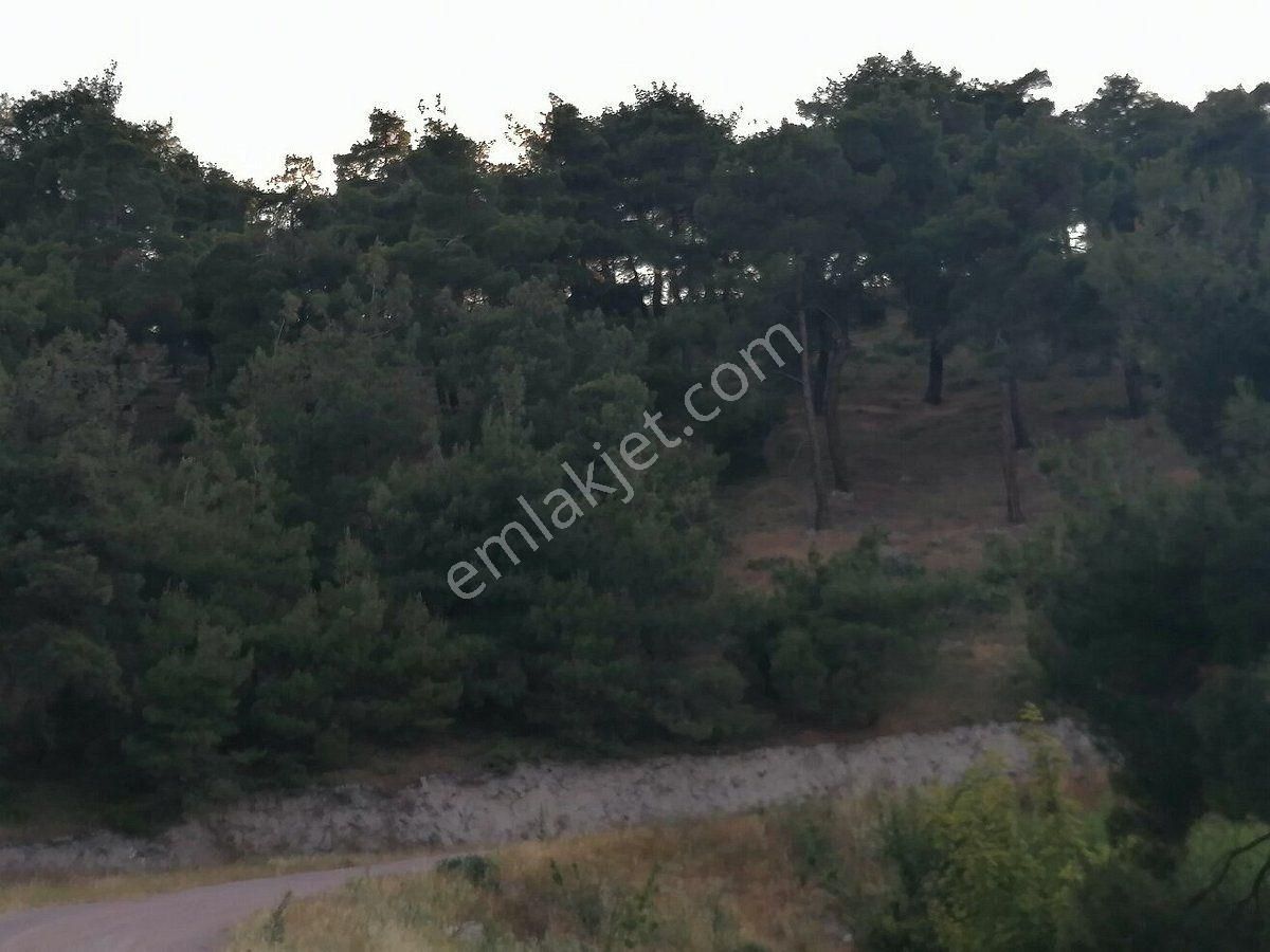 Balıkesir Laguna Thermal Resort Satılık Ömür Boyunca 1 Haftalık Devre Mülk - Görsel 8