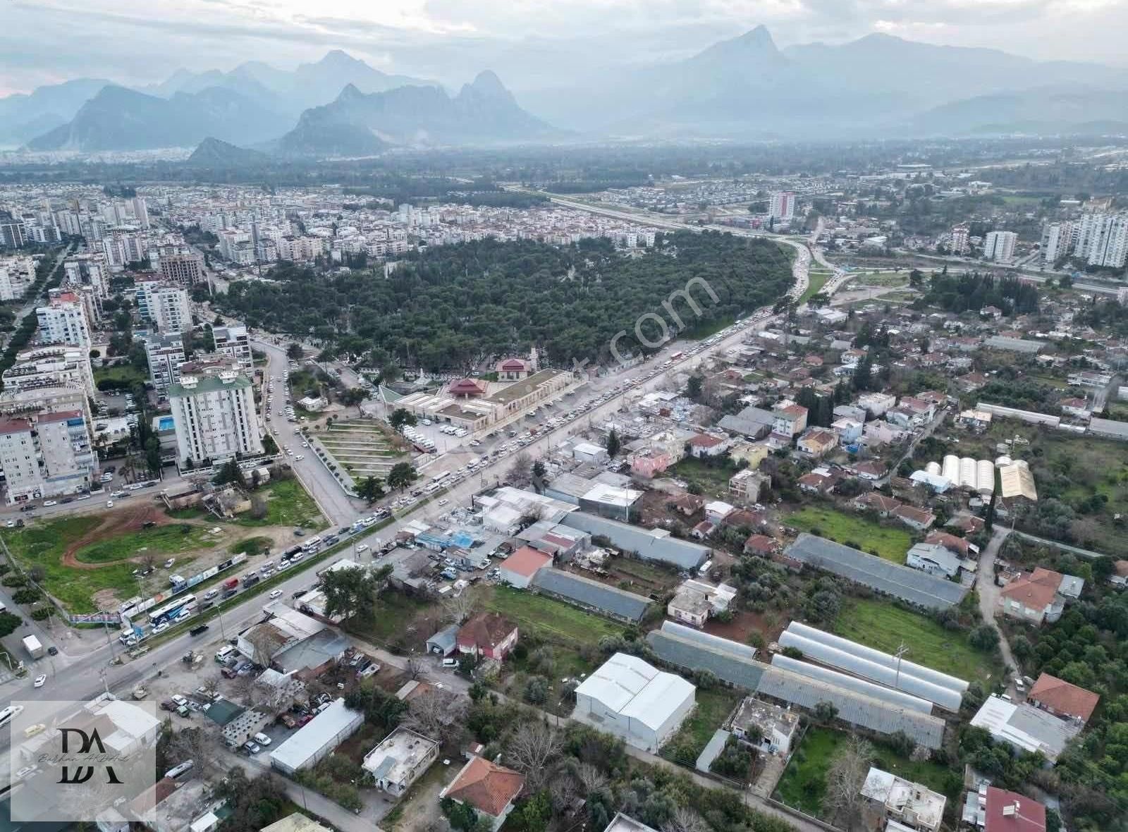 Kepez Avni Tolunay Satılık Bağ & Bahçe Acilll Avni Tolunay'da Denize 4 Km Mesafede Batı Çevre Yolu Dibi