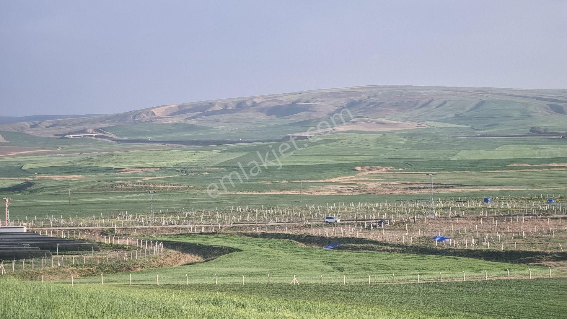 Gölbaşı Bağiçi Satılık Tarla Ankara Gölbaşı Bağiçinde 20 Dönüm Tek Tapu Tarla Takas Olur..