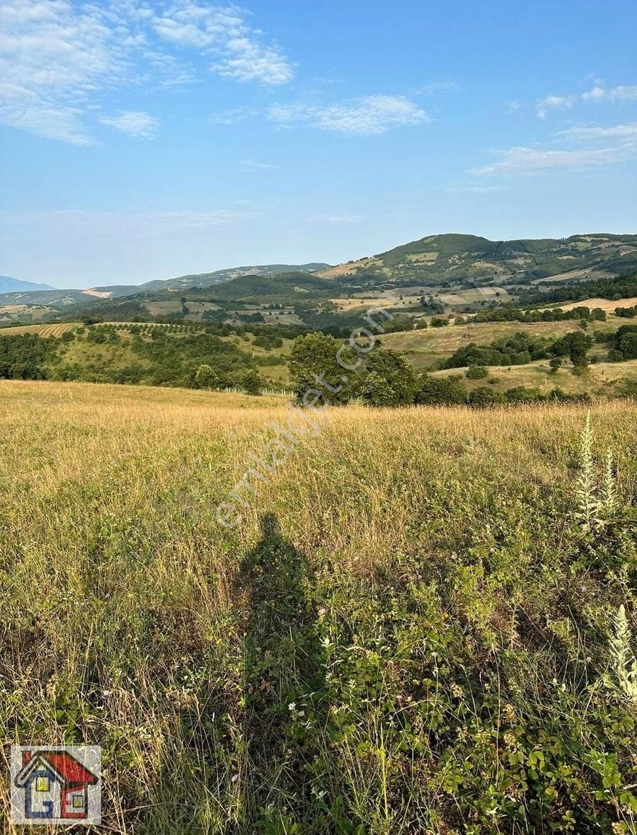 İznik Yürükler Satılık Tarla Bursa İznik Yörükler Mahallesi Kadastral Yolu Olan Satılık Tarla