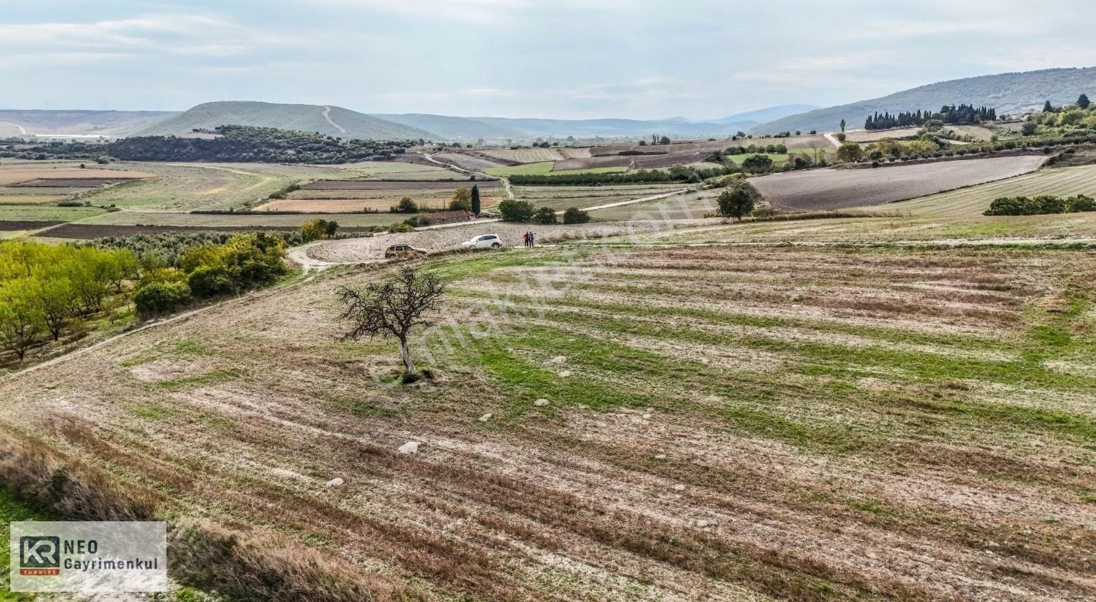 Karacabey Çeşnigir Satılık Tarla Karacabey Çeşnigir Doğanın İçinde 650 M2 Hobi Bahçesi