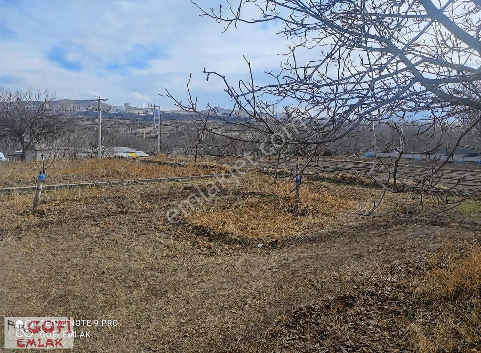 Nevşehir Merkez Nar Bld. (Aşağı) Satılık Bağ & Bahçe Gofi Emlak'tan Nar Kasabasında Hobi Bahçesi