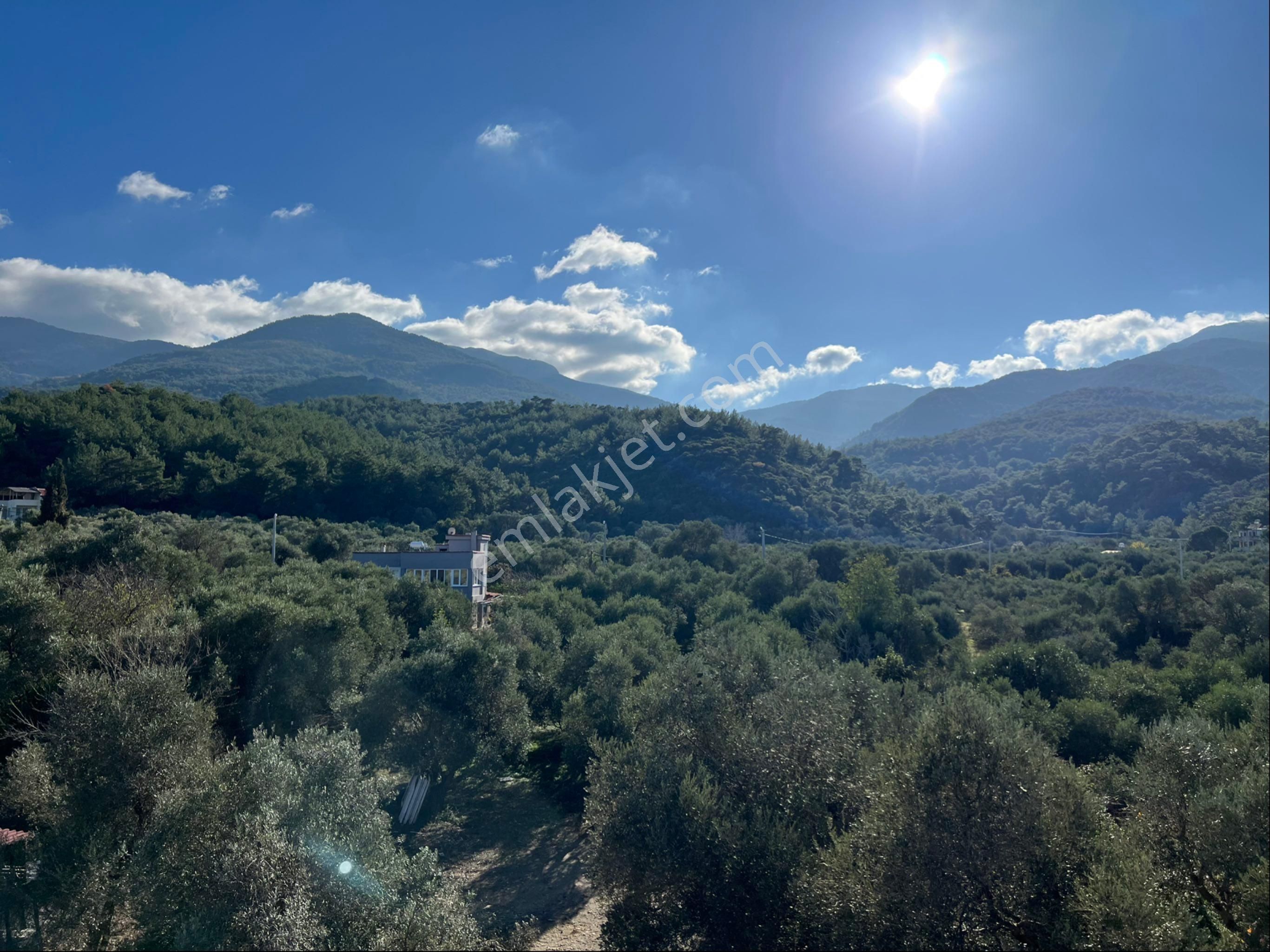 Kuşadası Güzelçamlı Satılık Daire Aydın Kuşadası Güzelçamlı’da Kapanmaz Orman Manzaralı 2+1 Daire