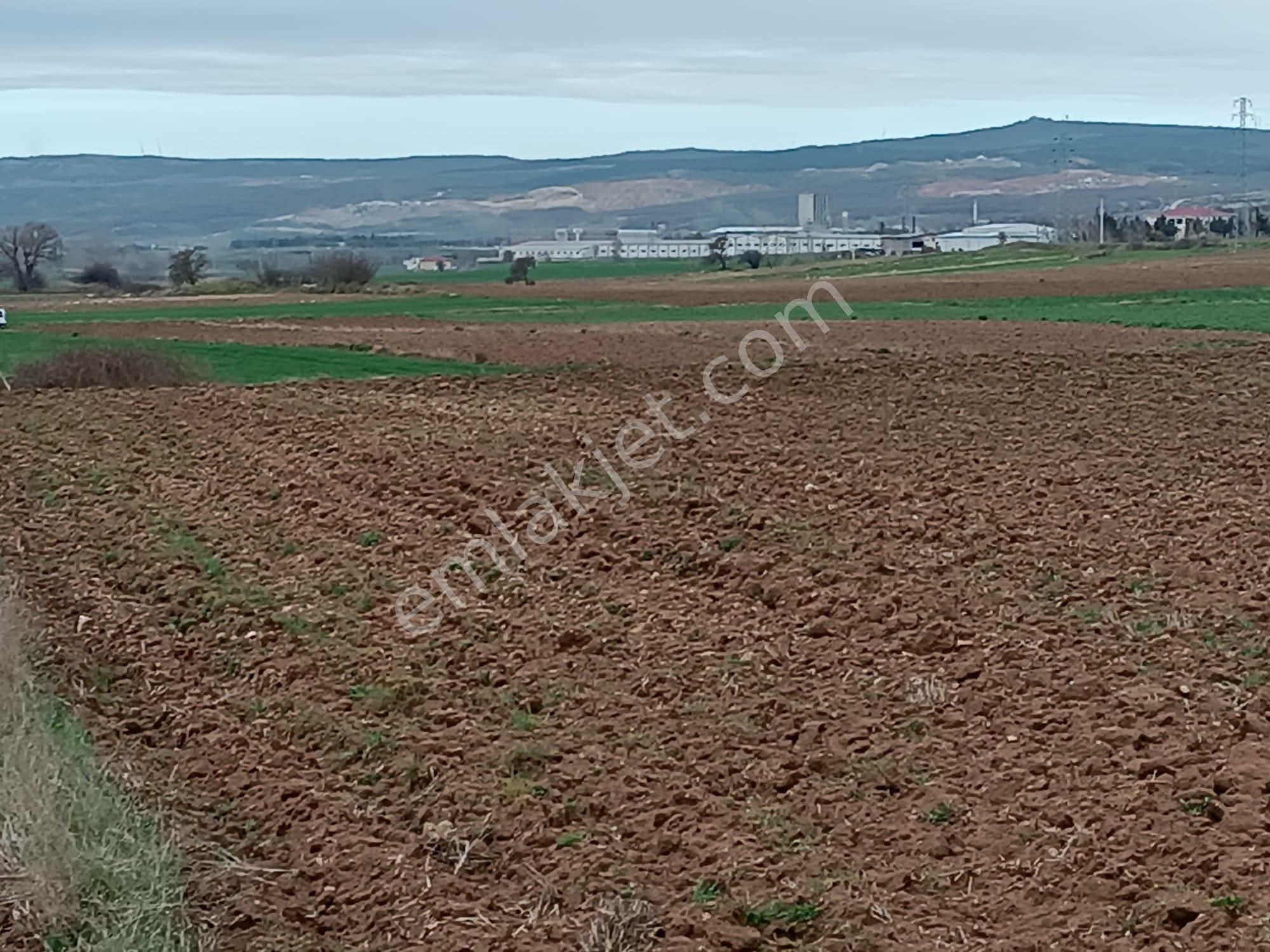 Vize Evrenli Köyü Satılık Tarla Vize Saray İstanbul Yolu Üzerinde Satılık Tarla