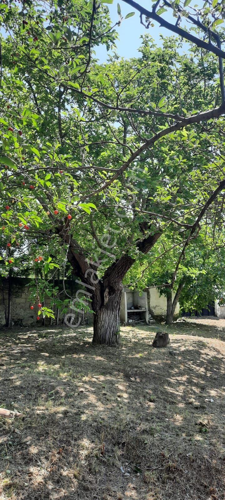 Tosya Dilküşa Satılık Konut İmarlı Sahibinden Satılık Arsa