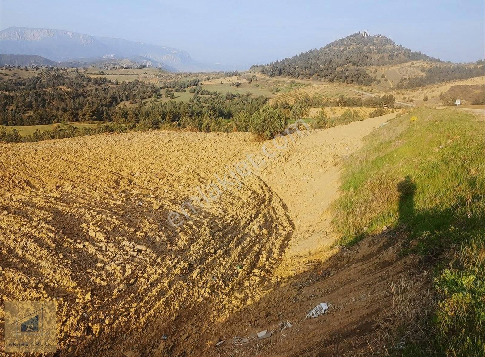 Söğüt Küre Köyü (Merkez) Satılık Tarla Bilecik Söğüt Kürede Bağ Evine Uygun Asfalt Kenarı Su 9,8 Dönüm