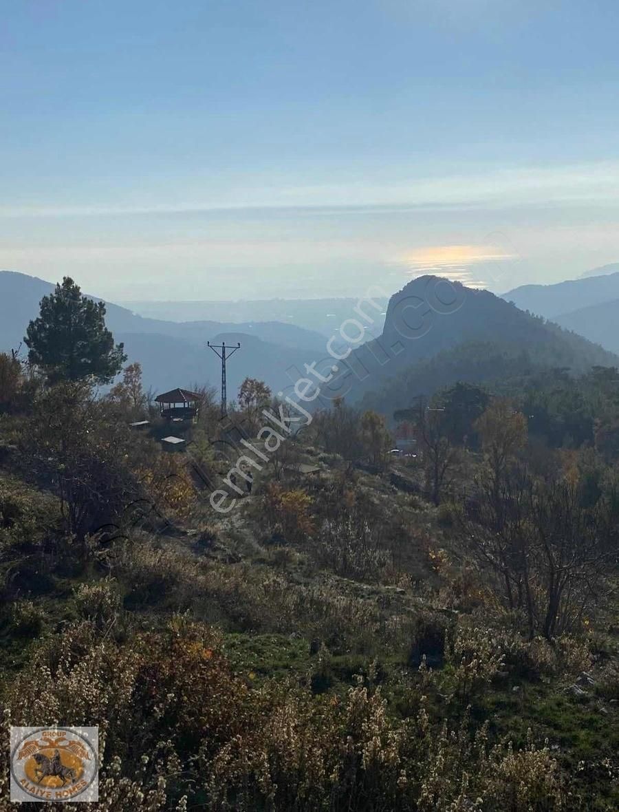 Alanya Bademağacı Satılık Bağ & Bahçe Alanya Badem Ağacında Satılık Müstakil Parsel