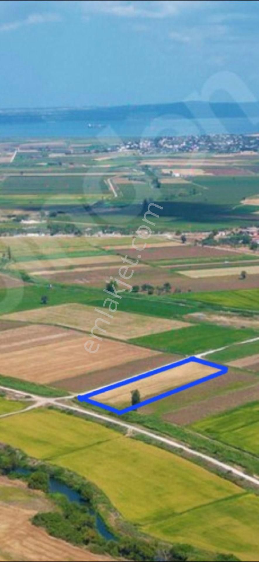 Çanakkale Merkez Kalafat Köyünde 2000 M2 Satılık Hisse - Görsel 8