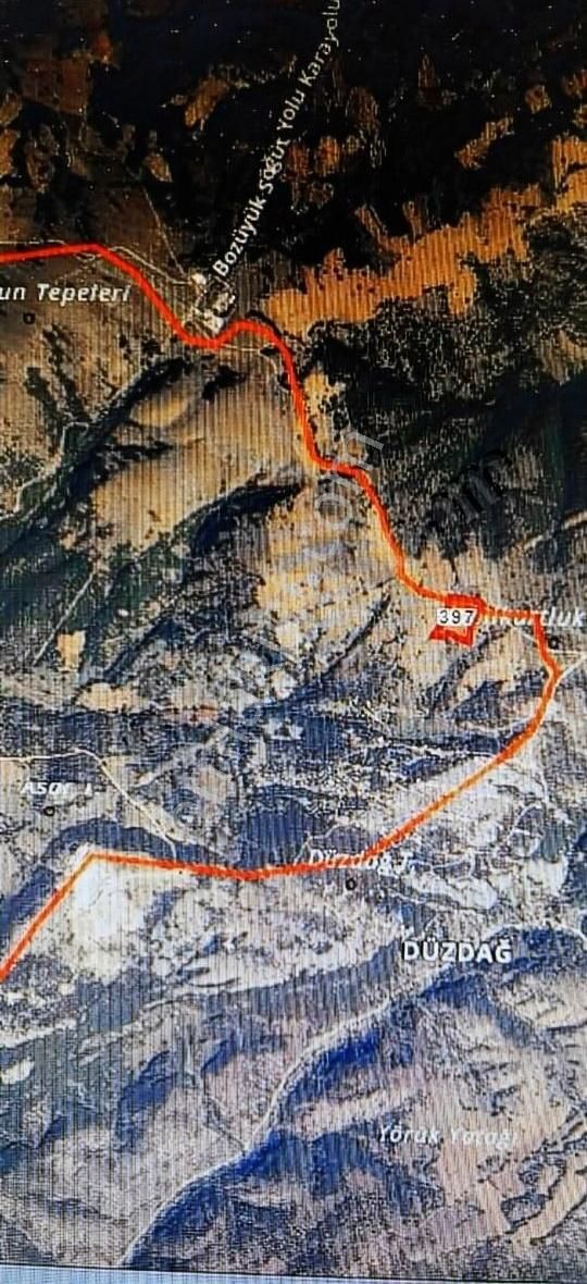 Bozüyük Günyarık Köyü Satılık Tarla Günyarık Köyünde Yatırımlık Tarla 17500m2