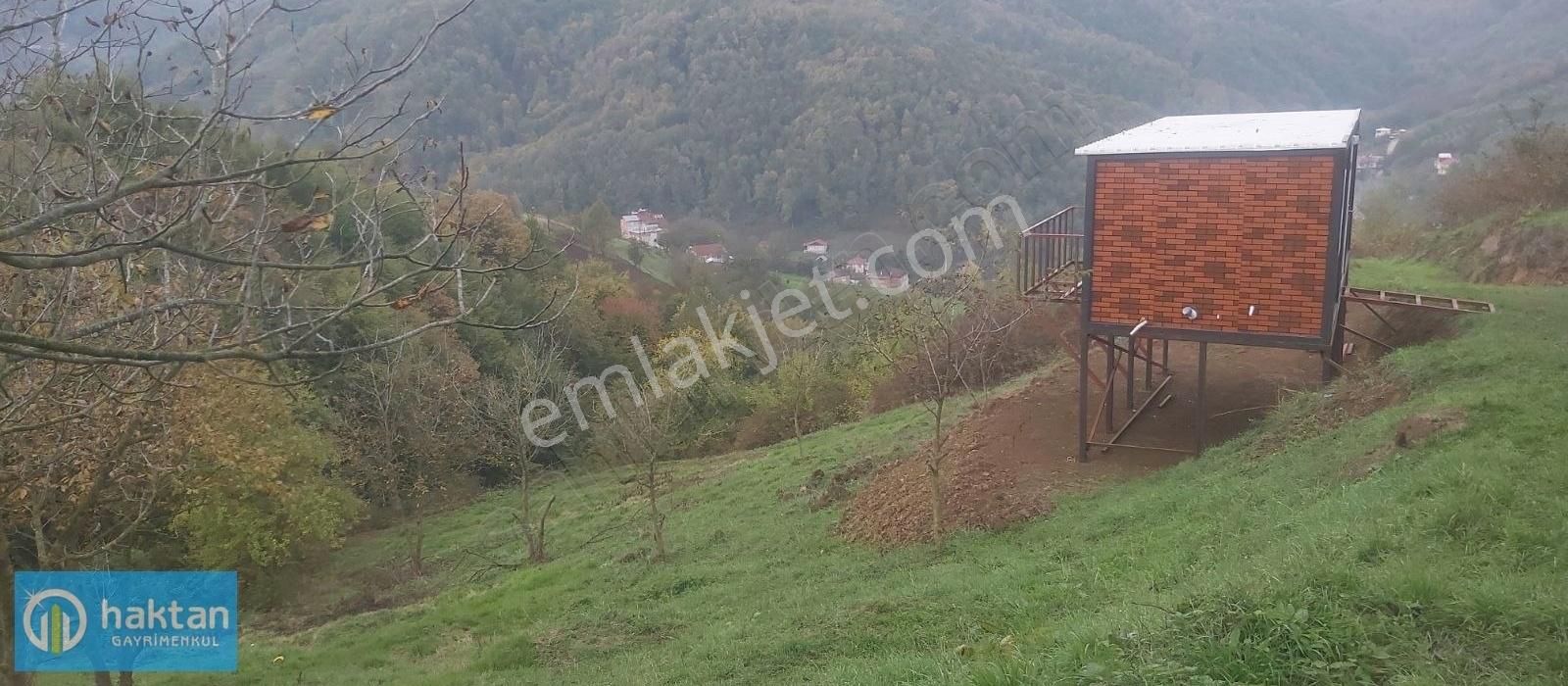 Samsun Canik Adatepe Mhl. Satılık 3350 M2 Cevizlik Ve Bağ Evi - Görsel 12