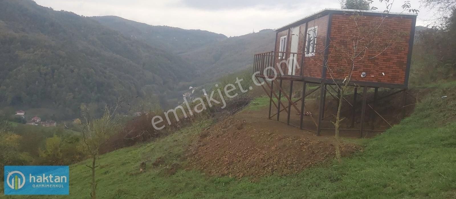 Samsun Canik Adatepe Mhl. Satılık 3350 M2 Cevizlik Ve Bağ Evi - Görsel 5