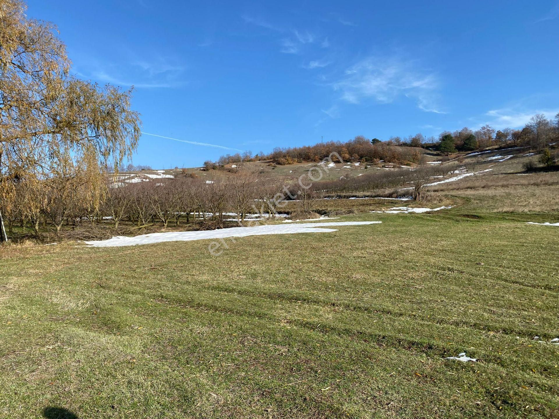 Osmaneli Oğulpaşa Köyü (Merkez) Satılık Tarla 415 M2 Köyün Yanında Düz Yatırımlık Arazi