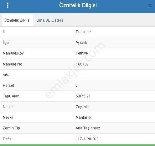 Balıkesir Ayvalık Da 5.075 M2 Zeytinlik Bakımlı Yatırımlık Veya Yemelik - Görsel 3