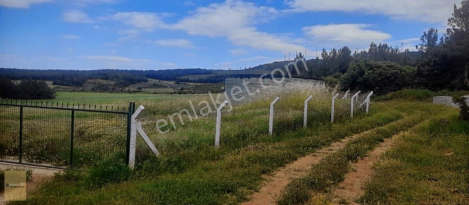 Çanakkale Merkez Çınarlı Köyü Satılık Tarla Çanakkale Merkez Çınarlı