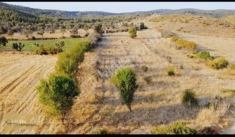 Eceabat Kumköy Köyü Satılık Tarla Eceabat Kumköyde Doğanın İçinde Yola Cephe Satılık Fırsat Tarla!