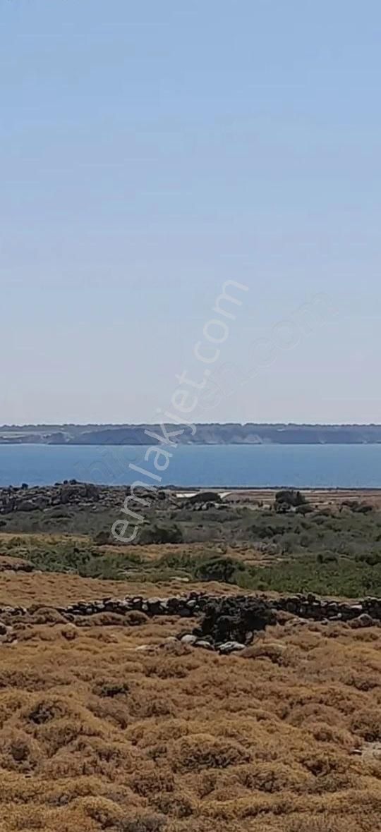 Eşsiz Bir Fırsat 600 Metre Kare İmarlı Arsa - Görsel 3