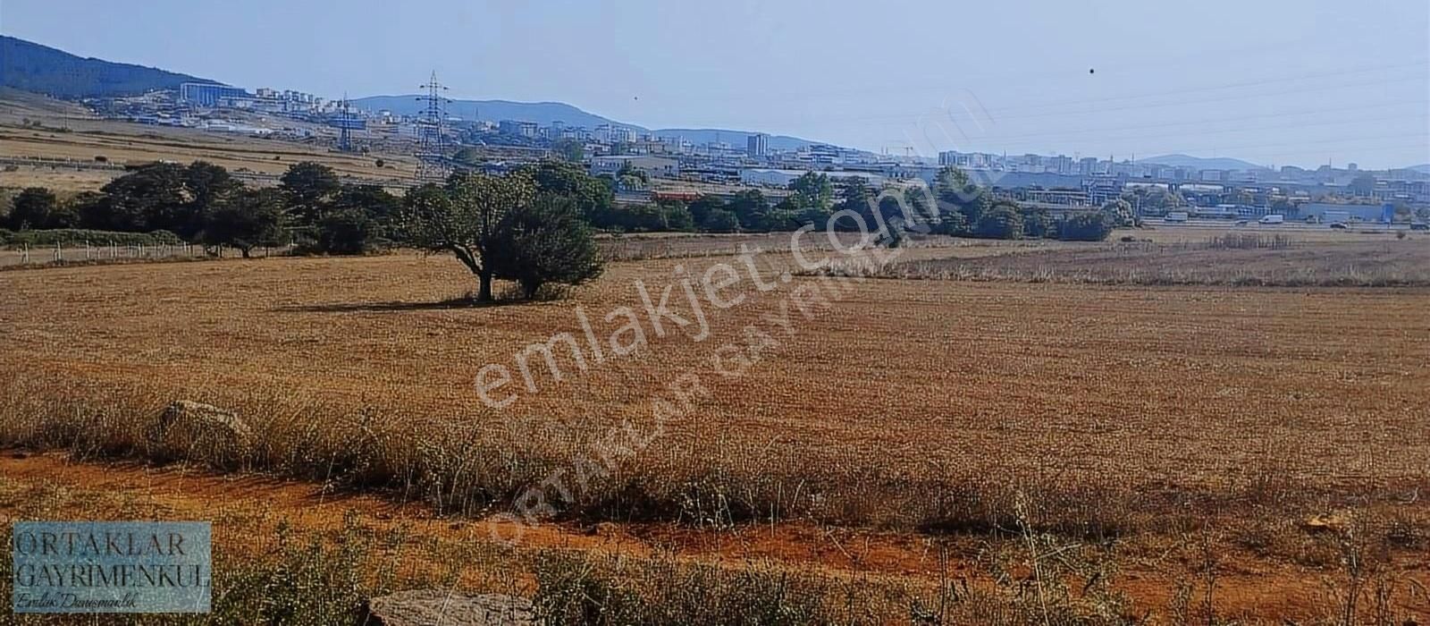 Sancaktepe Paşaköy Satılık Tarla Sancaktepe Paşaköyde Hisseli 3.200 M2 Arsa Satılık