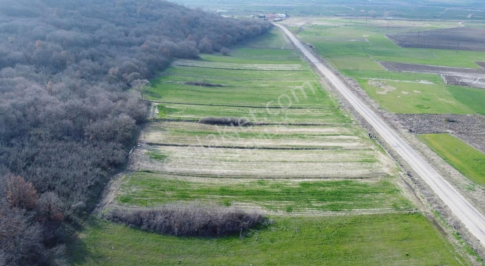 Uzunköprü Başağıl Köyü Satılık Tarla Uzunköprü Başağıl Köyünde 1.600 Mt Asfalt Yol Cepheli Tarla