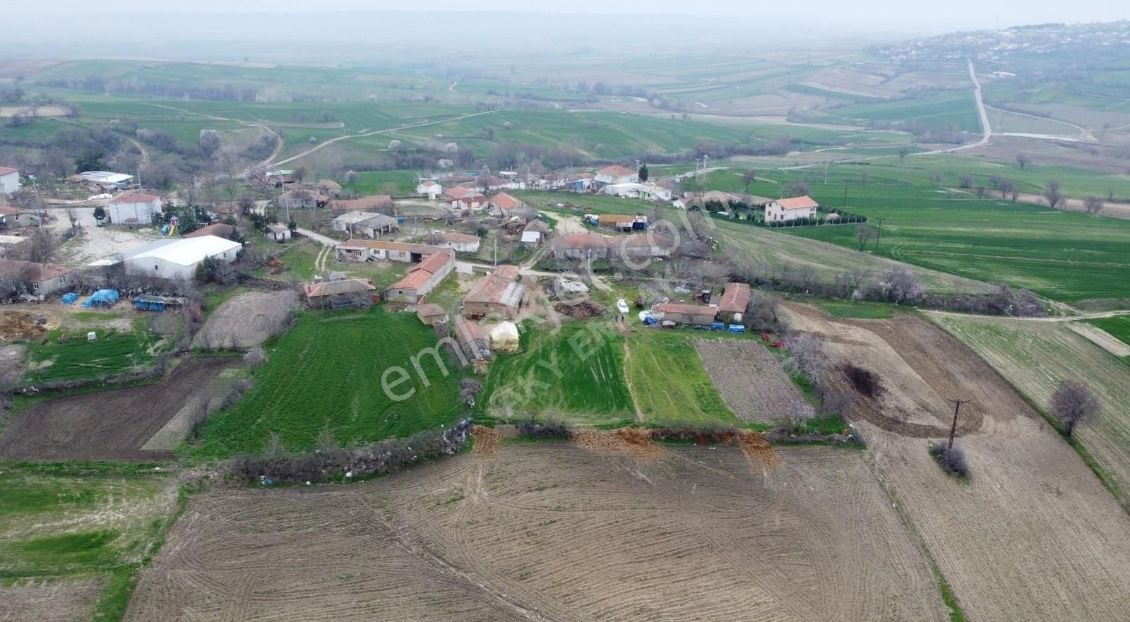 Malkara Davuteli Satılık Tarla Tekirdağ Malkara Davuteli Köy İçinde 1.288 Mt İmarın Dibı