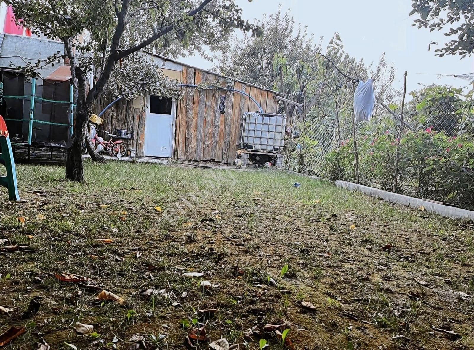 Bolu Merkez Doğancı Köyü Satılık Müstakil Ev Doğancı'da 2 Katlı Ev Geniş Arsa