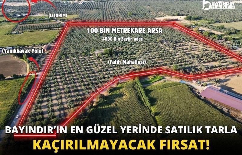 Bayındır Fatih Satılık Tarla Bayındırda Kaçırılmayacak Fırsat 100 Bin M2 Zeytinlik