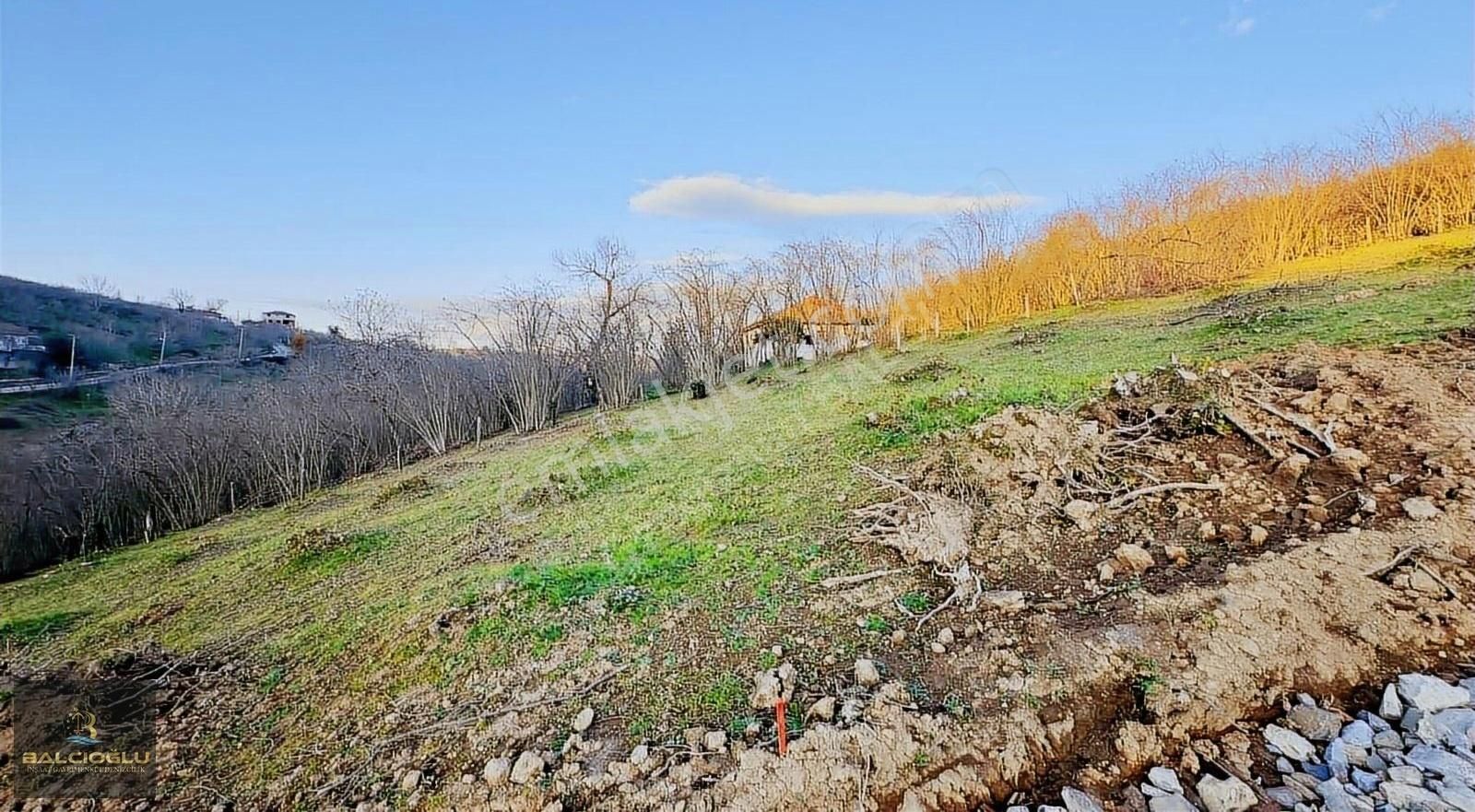 Kocaali Selahiye Satılık Konut İmarlı Balcıoğludan Satılık Uygun Son Projeli Yapı Ruhsatlı Hazır Arsa