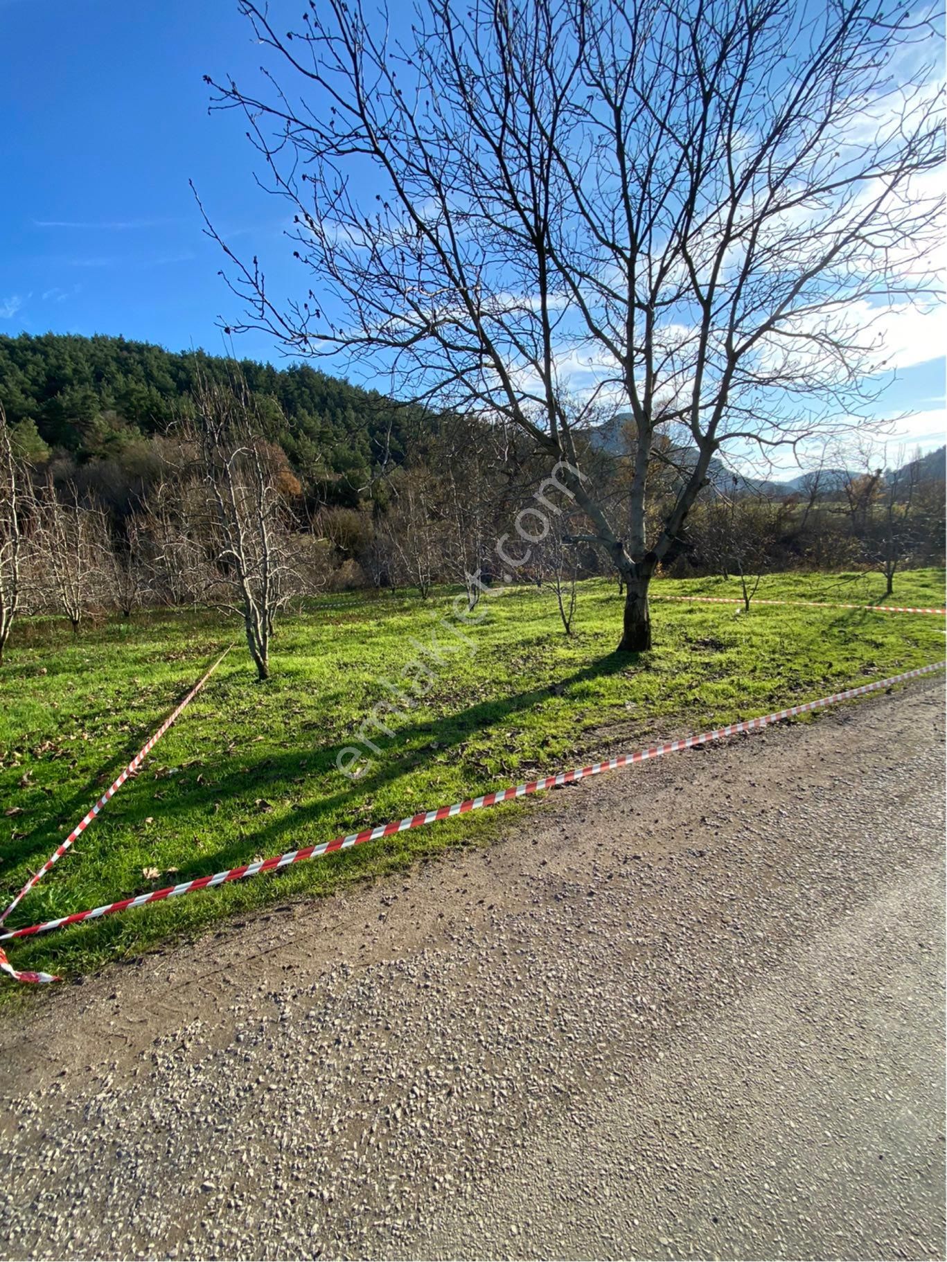 Osmangazi Avdancık Satılık Tarla Avdancık-seçköy Ana Yol Üzeri Kooperatif Hisseli Parseller