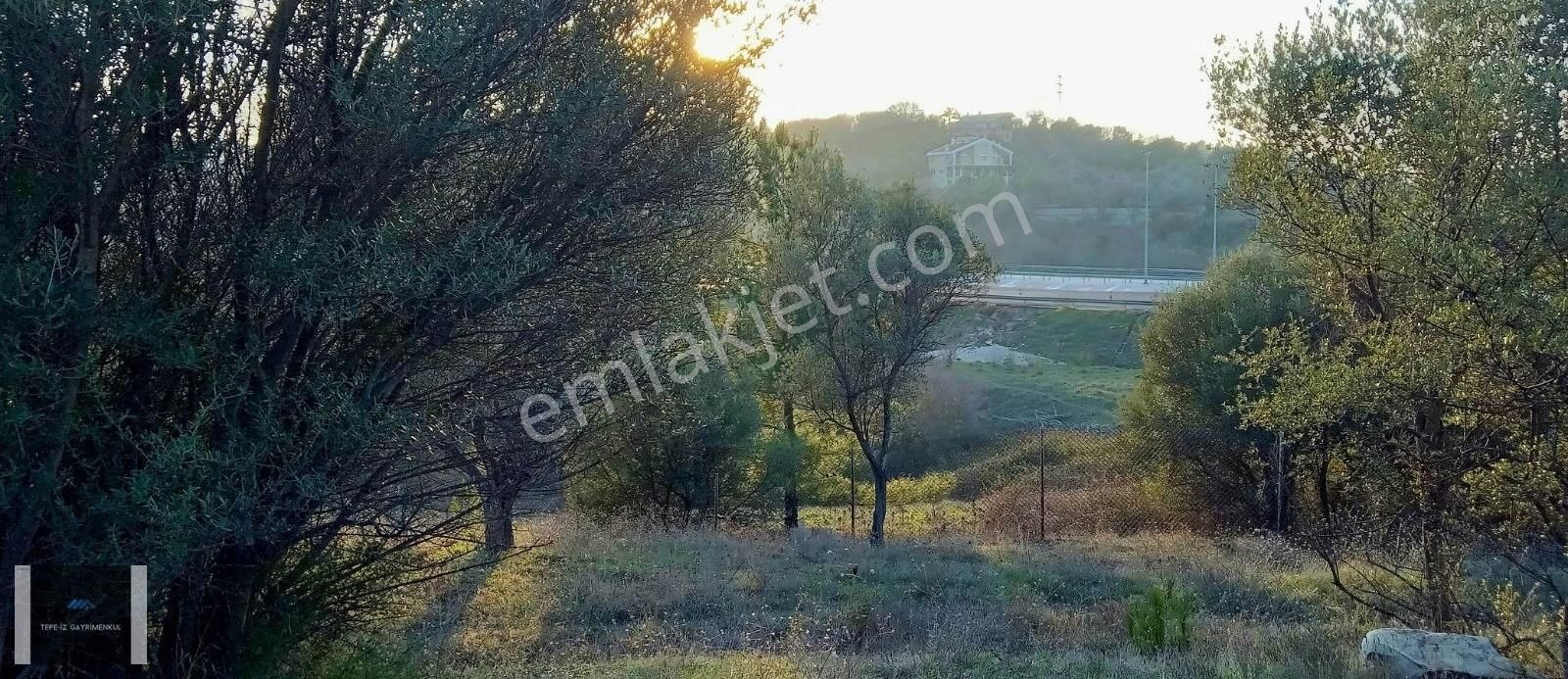 Urla Kekliktepe Çamlar Yeşillikler İçinde 745m2 Tarla - Görsel 3