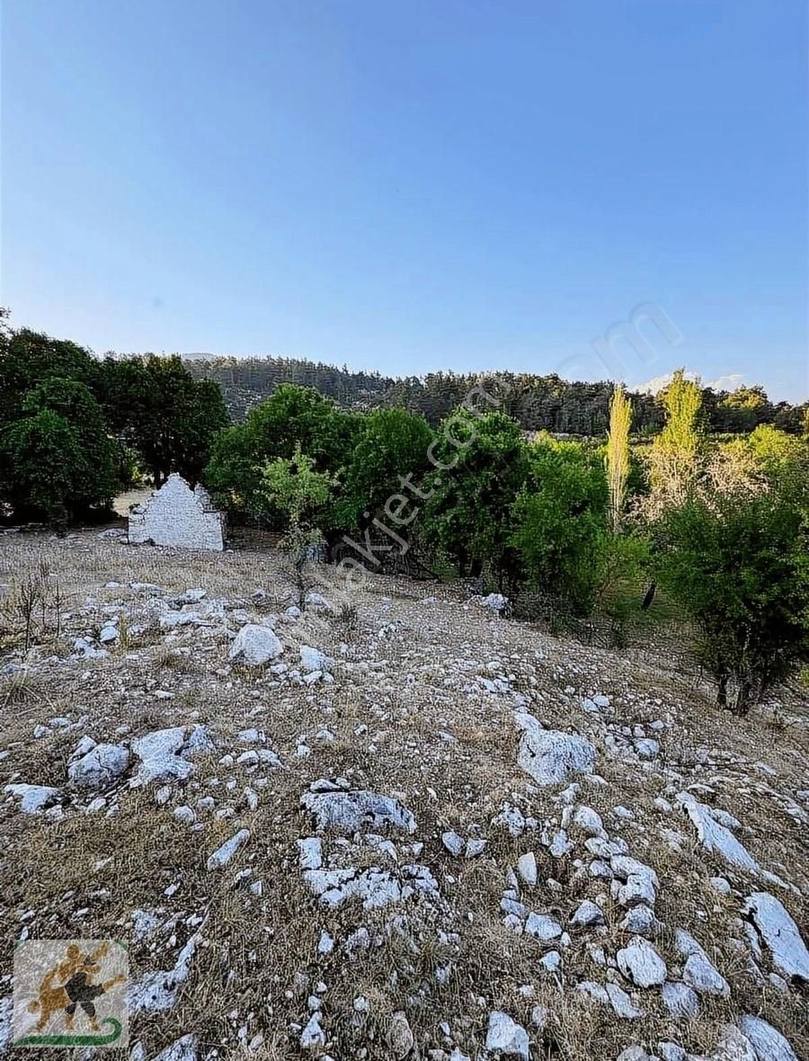 Kaş Sütleğen Satılık Bağ & Bahçe Kalkan Kaş Sütleğen Tek Tapu Müstakil Arsa 950 Metre2 Bahçe